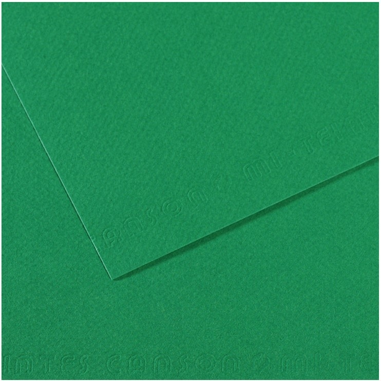 Feuille de papier dessin Mi-teintes - Vert herbe CANSON 200321234