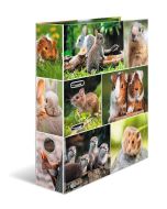 Classeur à 2 anneaux - Dos de 70 mm - Rongeurs : HERMA image