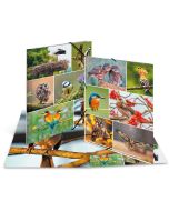 Chemise à élastiques A4 - Motif Oiseaux HERMA image