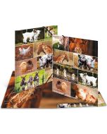 Chemise à élastiques en carton - A3 HERMA Animaux de ferme