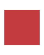 Feuilles de papier de couleur - 500 x 700 mm - Hibiscus : FOLIA Lot de 10