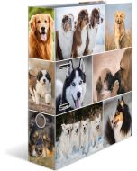 Classeur à 2 anneaux - Tendance métropole - Berlin : HERMA image