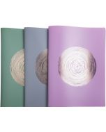 Protège-Documents de 60 Vues - Assortiment : EXACOMPTA Ellipse assortiment