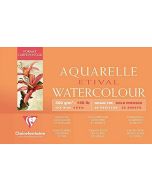 Bloc artiste aquarelle - 100 x 250 mm  : CLAIREFONTAINE Etival image