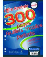 CALLIGRAPHE 9333 : Lot de 300 pages - Feuilles mobiles perforées Séyès - 210 x 297 mm