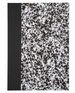 LE DAUPHIN Registre 192 pages quadrillées - 340 x 225 mm