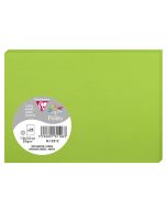 Photo POLLEN Carte Vert menthe 110 x 155 mm C6 1321C Clairefontaine