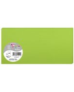 Photo POLLEN Carte DL vert menthe 106 x 213 mm 1521C Clairefontaine