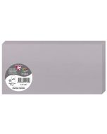 Photo POLLEN : Carte double de papier - Format DL - Gris koala 21532C