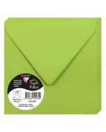 Photo Enveloppe POLLEN Vert Menthe Format  140 x 140 mm 5548C