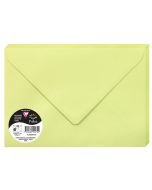 Photo Enveloppe POLLEN Vert Bourgeon Format  162 x 229 mm 555472C