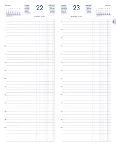 Agenda Journalier Long 2025 - Recettes et Dépenses - Assortiment LECAS
