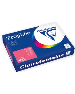 Ramette de papier de 250 feuilles A3 160g - Eglantine : CLAIREFONTAINE Trophée Photo