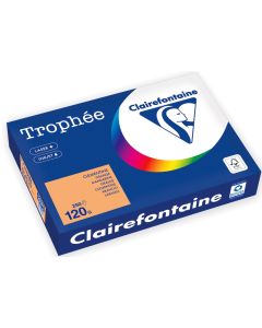 Ramette de papier de 250 feuilles A4 120g - Clémentine : CLAIREFONTAINE Trophée Photo