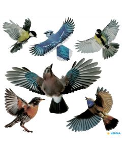 Étiquettes autocollantes d'oiseaux pour vitres - Multicolore HERMA