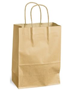 Sac en Papier Strong - 21,7 litres - Kraft Brun NATURE Star Lot de 250