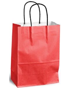 Sac en Papier Strong - 21,7 litres - Kraft Brun NATURE Star Lot de 250