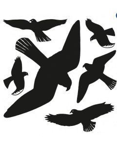 HERMA : Oiseaux pour vitres - Noir