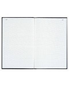 LE DAUPHIN : Registre 200 pages quadrillées avec foliotage - 340 x 225 mm 7529D