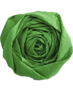 Papier Crépon - Vert pré : CLAIREFONTAINE Visuel