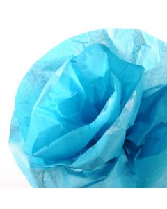 Papier de Soie - Bleu Turquoise - 500 mm x 5 m : CANSON Image