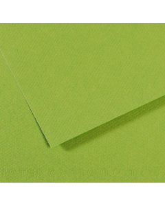 Feuille de papier dessin Mi-teintes - Vert - 500 x 650 mm : CANSON Exemple