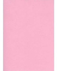 Fiches Bristol Unies - 75 x 125 mm - Rose : ELVE Lot de 100 Image