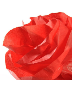 Image CANSON : Papier de soie - Rouge