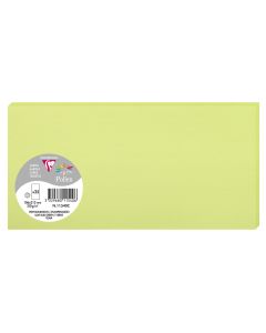 Photo POLLEN Carte DL vert bourgeon 106 x 213 mm 11540C Clairefontaine