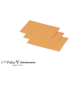 Photo POLLEN : Carte de papier Clémentine - Format 70 x 95 mm 1236C