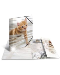 Photo Chemise à élastiques A4 - Motif Chats - HERMA Glossy image