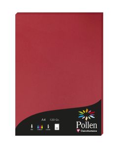 Photo Feuille de couleur Rouge groseille 210 x 297 mm A4 POLLEN 4212C