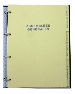 Recharge pour reliure juridique - 100 feuillets - 11014 ELVE