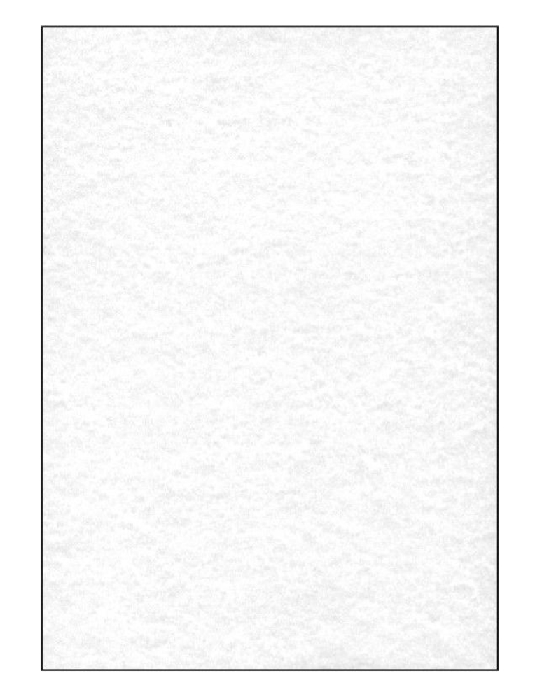 Papier Blanc A4 pour Diplome Personnalisé (Lot de 50) - Papier